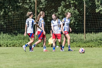 Bild 210 - wBJ Hamburger SV - VfL Wolfsburg : Ergebnis: 5:1